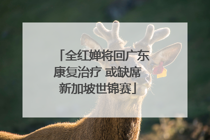 全红婵将回广东康复治疗 或缺席新加坡世锦赛