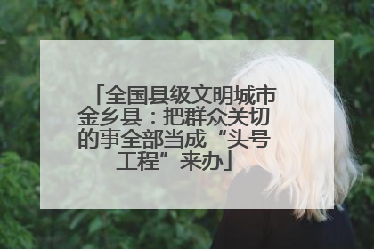 全国县级文明城市金乡县：把群众关切的事全部当成“头号工程”来办