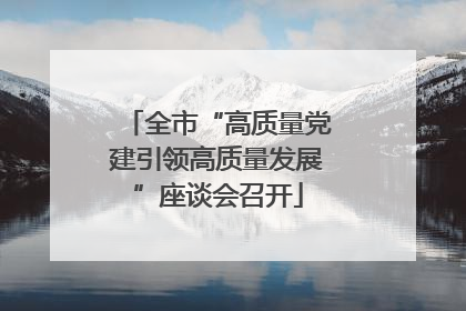 全市“高质量党建引领高质量发展”座谈会召开