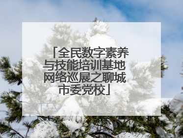 全民数字素养与技能培训基地网络巡展之聊城市委党校