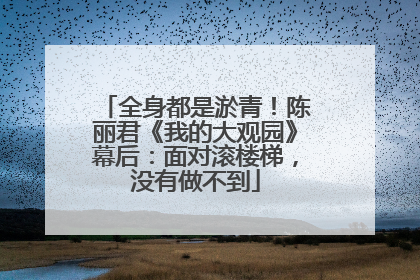 全身都是淤青！陈丽君《我的大观园》幕后：面对滚楼梯，没有做不到
