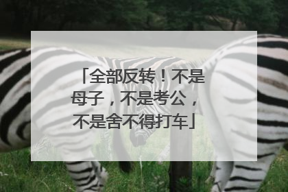 全部反转！不是母子，不是考公，不是舍不得打车