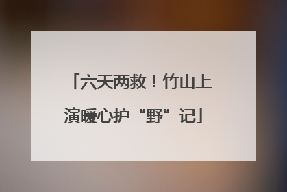 六天两救！竹山上演暖心护“野”记