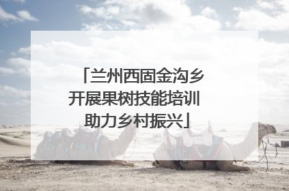 兰州西固金沟乡开展果树技能培训 助力乡村振兴