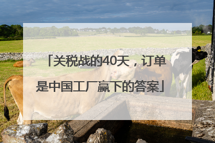 关税战的40天，订单是中国工厂赢下的答案
