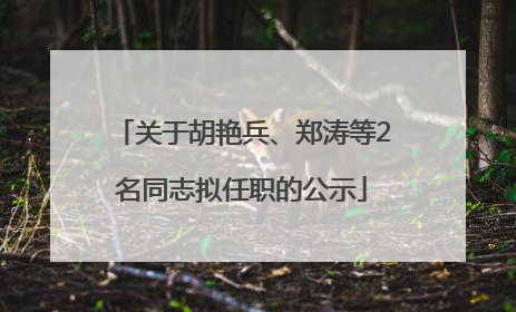 关于胡艳兵、郑涛等2名同志拟任职的公示