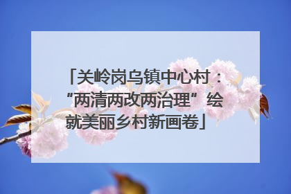关岭岗乌镇中心村：“两清两改两治理”绘就美丽乡村新画卷