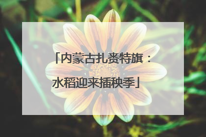 内蒙古扎赉特旗：水稻迎来插秧季