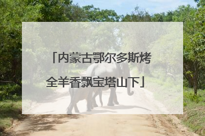 内蒙古鄂尔多斯烤全羊香飘宝塔山下