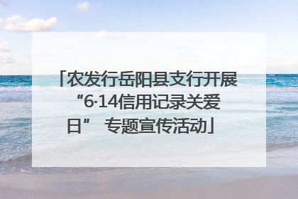 农发行岳阳县支行开展“6·14信用记录关爱日” 专题宣传活动