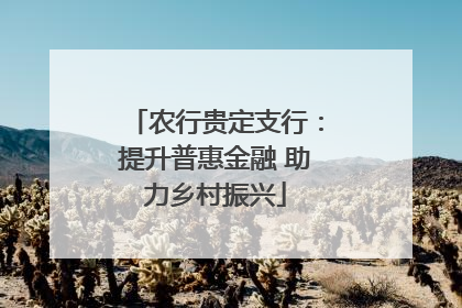 农行贵定支行：提升普惠金融 助力乡村振兴