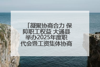 凝聚协商合力 保障职工权益 大通县举办2025年度职代会暨工资集体协商现场观摩交流活动