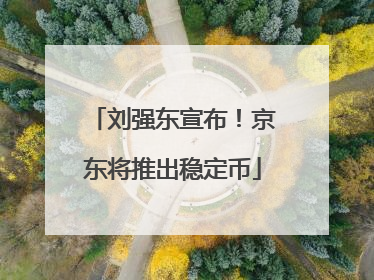 刘强东宣布！京东将推出稳定币