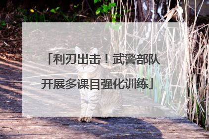 利刃出击！武警部队开展多课目强化训练