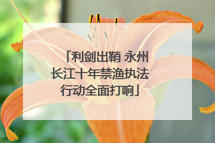 利剑出鞘 永州长江十年禁渔执法行动全面打响