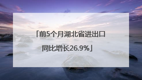前5个月湖北省进出口同比增长26.9%