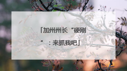 加州州长“硬刚”：来抓我吧
