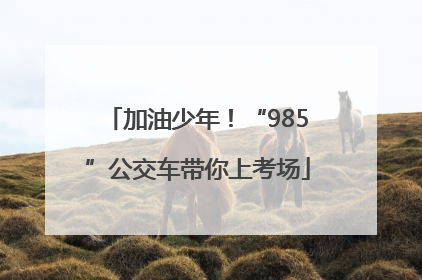 加油少年！“985”公交车带你上考场