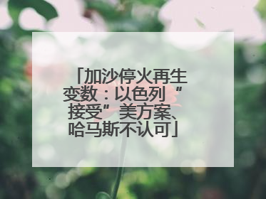 加沙停火再生变数：以色列“接受”美方案、哈马斯不认可