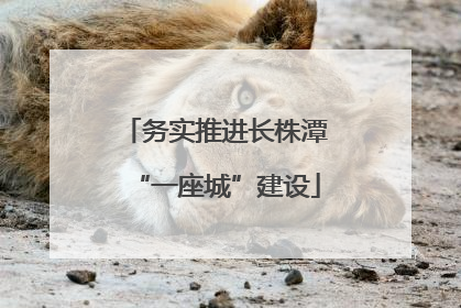 务实推进长株潭“一座城”建设