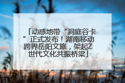 动感地带“洞庭谷卡”正式发布！湖南移动跨界岳阳文旅，架起Z世代文化共振桥梁