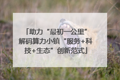 助力“最初一公里” 解码算力小镇“服务+科技+生态”创新范式