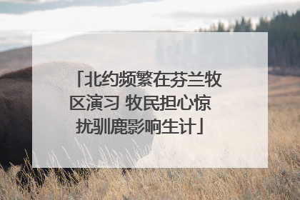北约频繁在芬兰牧区演习 牧民担心惊扰驯鹿影响生计