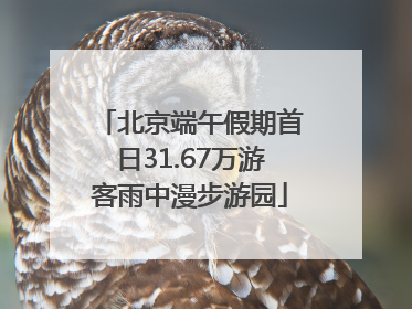北京端午假期首日31.67万游客雨中漫步游园
