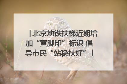 北京地铁扶梯近期增加“黄脚印”标识 倡导市民“站稳扶好”