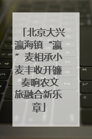 北京大兴瀛海镇“瀛”麦相承小麦丰收开镰 奏响农文旅融合新乐章