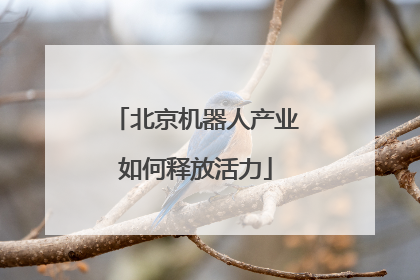 北京机器人产业如何释放活力