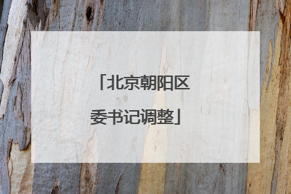 北京朝阳区委书记调整