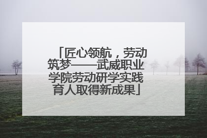 匠心领航，劳动筑梦——武威职业学院劳动研学实践育人取得新成果