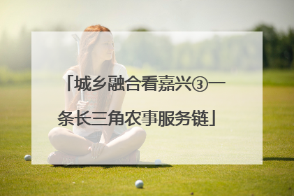城乡融合看嘉兴③一条长三角农事服务链