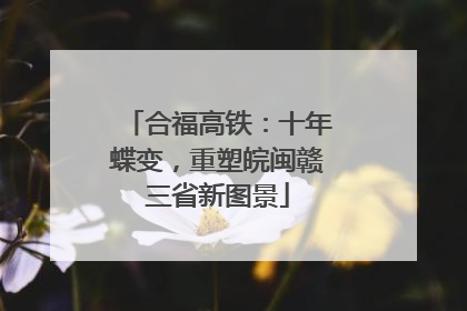合福高铁：十年蝶变，重塑皖闽赣三省新图景