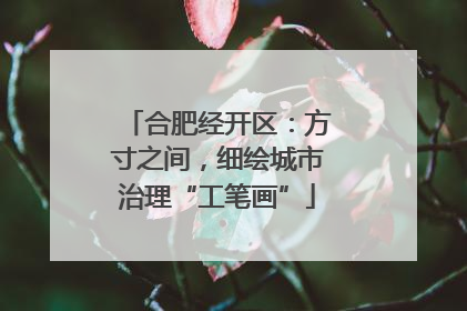 合肥经开区：方寸之间，细绘城市治理“工笔画”