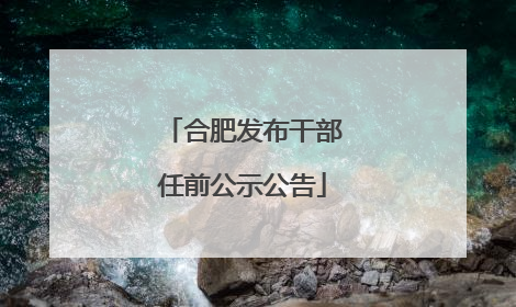 合肥发布干部任前公示公告