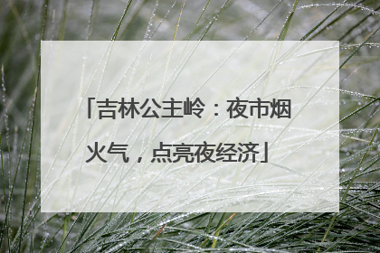 吉林公主岭：夜市烟火气，点亮夜经济