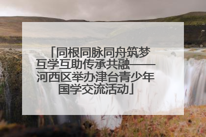 同根同脉同舟筑梦 互学互助传承共融——河西区举办津台青少年国学交流活动