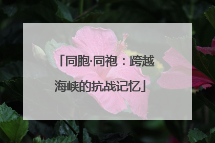 同胞·同袍：跨越海峡的抗战记忆