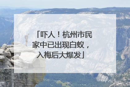 吓人！杭州市民家中已出现白蚁，入梅后大爆发