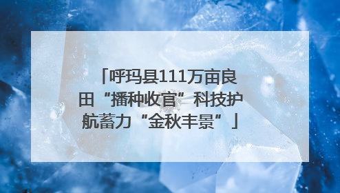 呼玛县111万亩良田“播种收官”科技护航蓄力“金秋丰景”
