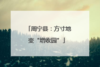 周宁县：方寸地变“增收园”