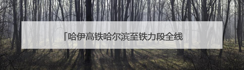 哈伊高铁哈尔滨至铁力段全线最大跨度转体桥完成转体对接
