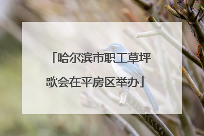 哈尔滨市职工草坪歌会在平房区举办