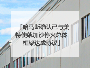 哈马斯确认已与美特使就加沙停火总体框架达成协议