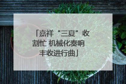 嘉祥“三夏”收割忙 机械化奏响丰收进行曲