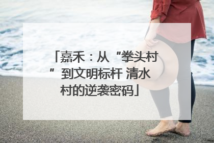嘉禾：从“拳头村”到文明标杆 清水村的逆袭密码