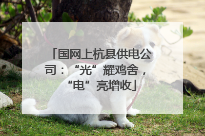 国网上杭县供电公司：“光”耀鸡舍，“电”亮增收