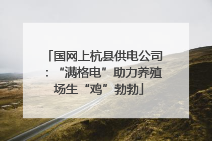 国网上杭县供电公司：“满格电”助力养殖场生“鸡”勃勃